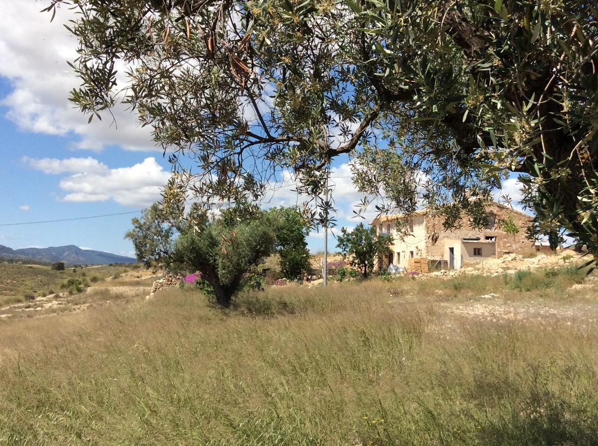 Los Cuatro Vientos B&B Торре-дель-Рико Экстерьер фото